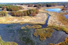 Drone 图像 of salt marsh in autumn